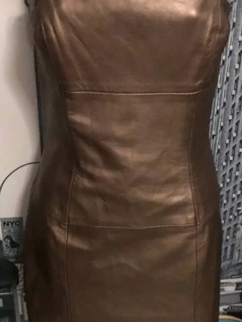 Women’s Brown Leather Mini Dress